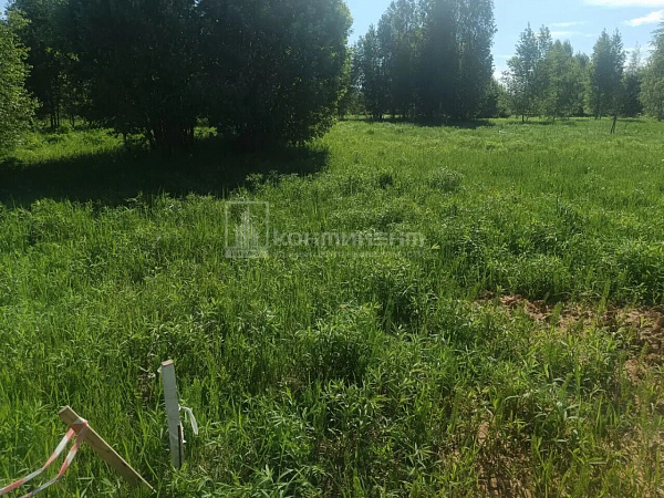 Погорелка д.: участок 7.5 соток