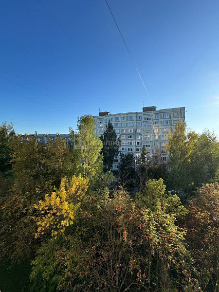 2-к квартира, 51 кв.м.