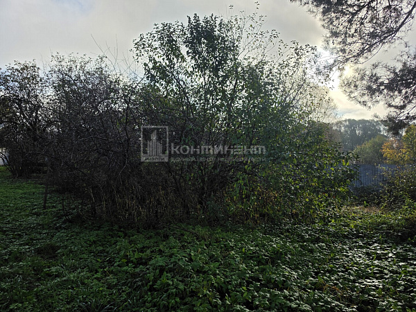 Патакино с.: дом