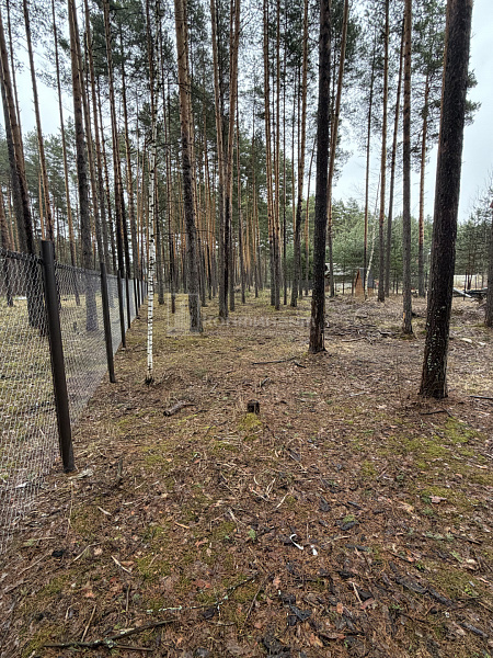 Улыбышево п.: участок 11 соток