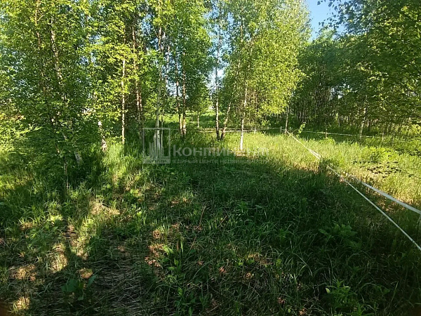 Погорелка д.: участок 7.5 соток