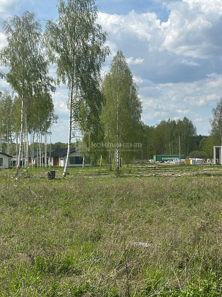 Сокол п., Изумрудная ул: участок 14.5 соток