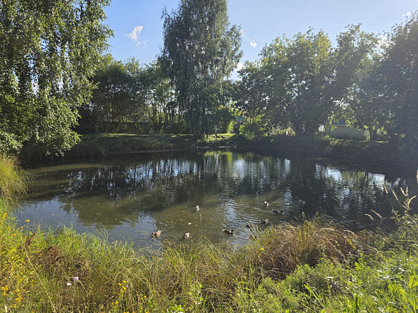 НСТ N 2 УКХ снт: дача