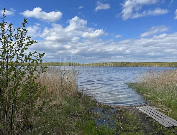 Сергейцево д.: участок 17 соток