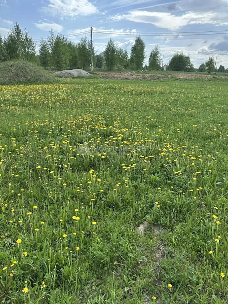 Ковров г., Радужная ул: участок 8 соток