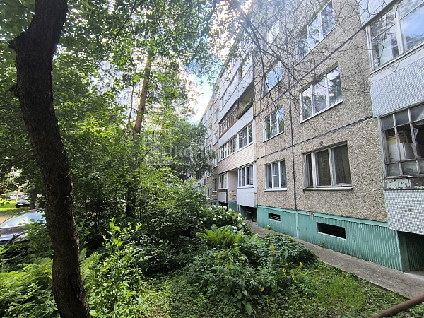 3-к квартира, 67 кв.м.