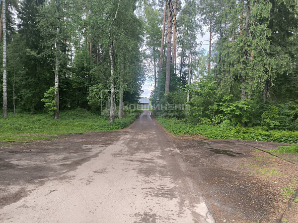 Михали снт: участок 6.5 соток