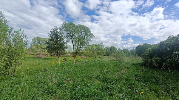Семеновское-Красное с., Центральная ул: участок 33 соток