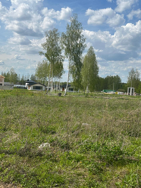 Сокол п., Изумрудная ул: участок 14.5 соток