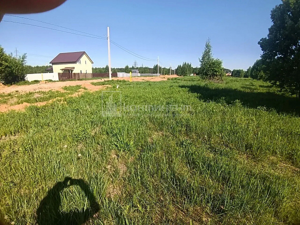 Погорелка д.: участок 7.5 соток