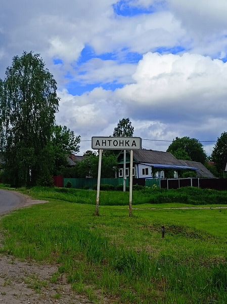 : земли коммерческого назначения