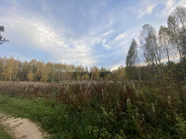 Любец с.: участок 15 соток