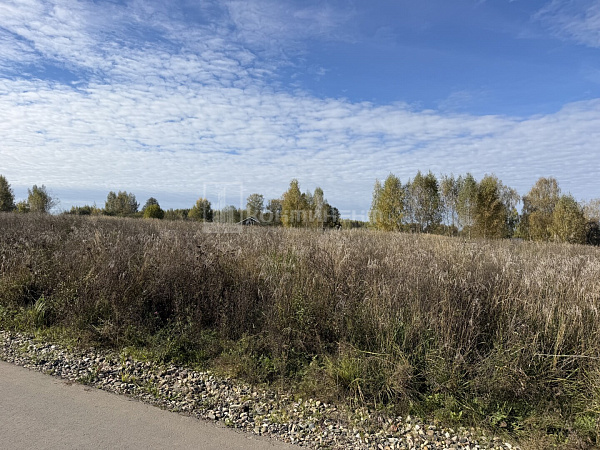 Лакинск г.: участок 12 соток