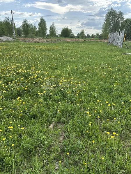 Ковров г., Радужная ул: участок 8 соток