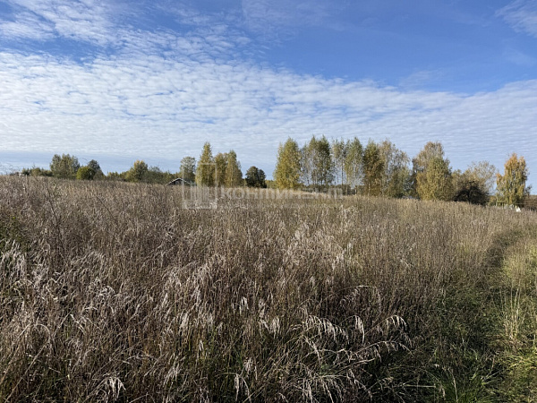 Лакинск г.: участок 12 соток
