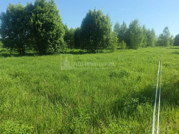 Погорелка д.: участок 7.5 соток