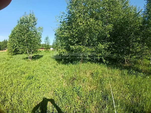 Погорелка д.: участок 7.5 соток