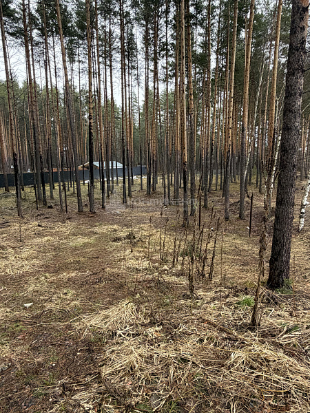 Улыбышево п.: участок 11 соток