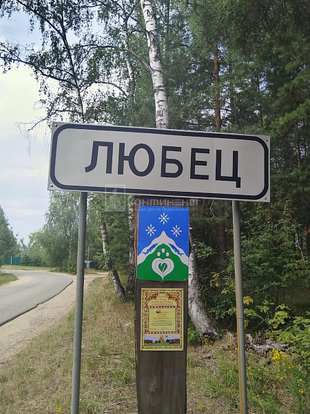Любец с.: участок 15 соток