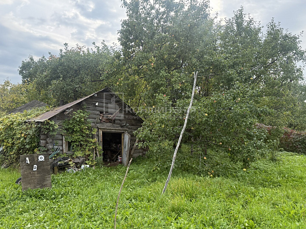 Репники д.: дом