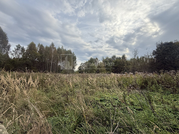 Репники д.: дом