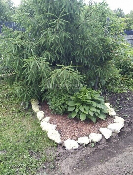 Ополье снт: дача