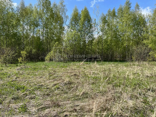Сергейцево д.: участок 17 соток